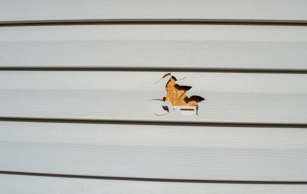 Cost of Siding Hole Patching in Seattle