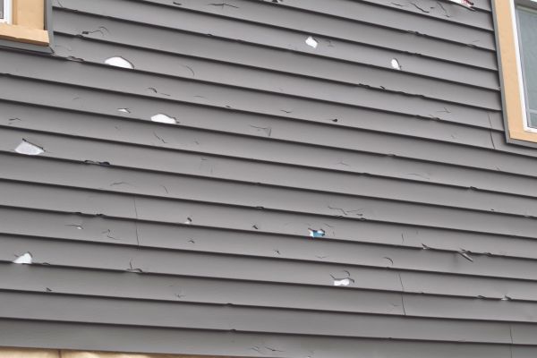 Cost of Damaged Siding Replacement in Seattle